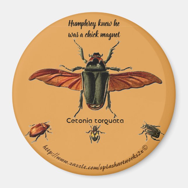 "Humphrey visste att han var en chick magnet" Magnet (Framsidan)