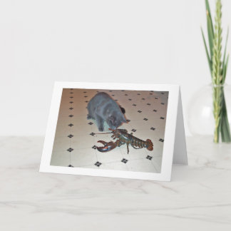 Humret bakar kortet kort