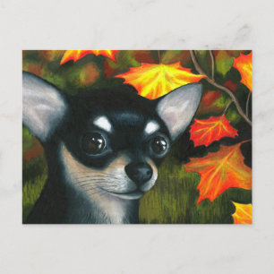 Hund 101 svart Chihuahua Vykort