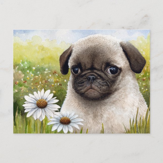 Hund 114 vykort (Framsida)