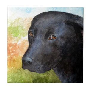Hund 115 Black Labrador Kakelplatta