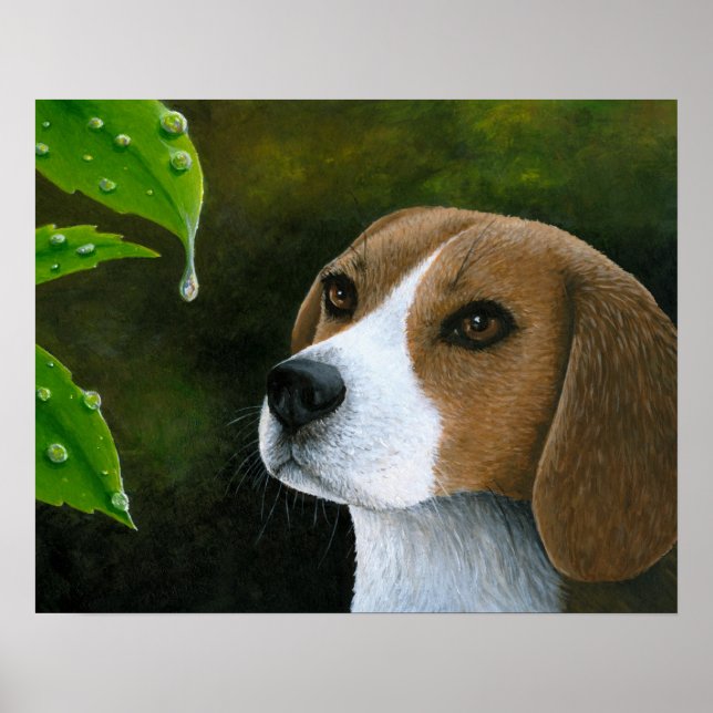 Hund 116 Beagle Poster (Framsidan)