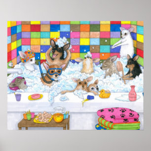 Hund 121 chihuahua poster