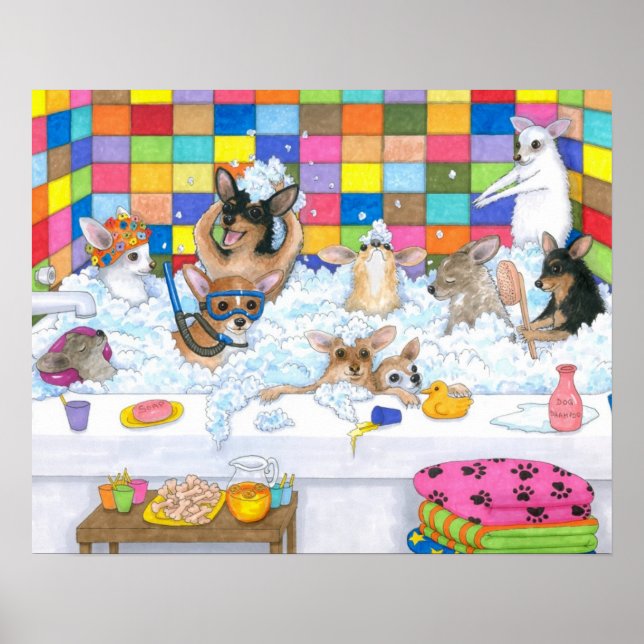 Hund 121 chihuahua poster (Framsidan)