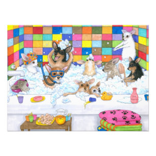 Hund 121 Funny Chihuahua i bad Fototryck