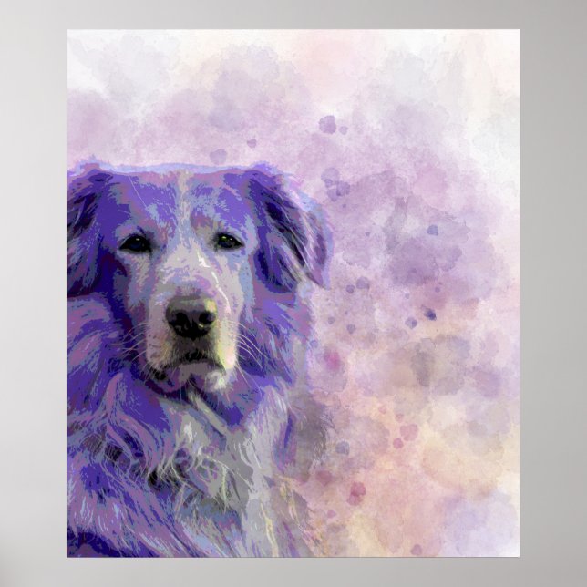 Hund 140 Golden Retriever Poster (Framsidan)