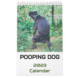 Hund 2023 kalender