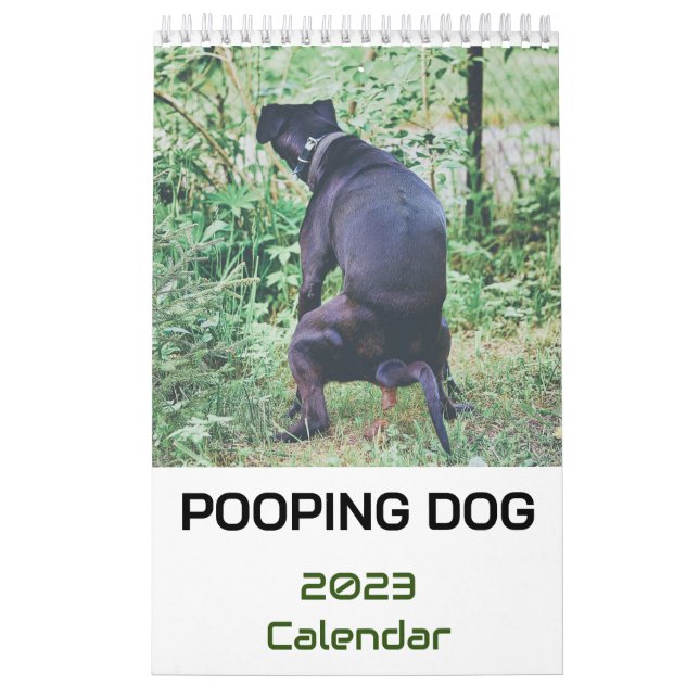 Hund 2023 kalender (Omslag)