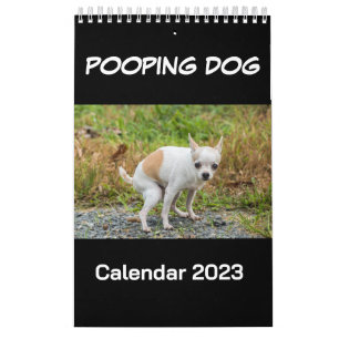 Hund 2023 kalender