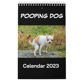 Hund 2023 kalender