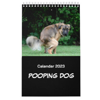 Hund 2023 kalender