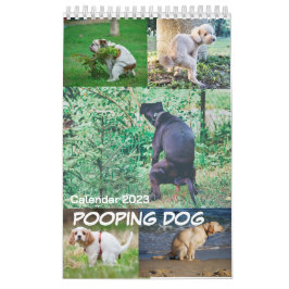 Hund 2023 kalender