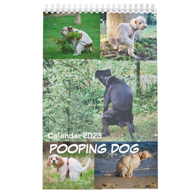 Hund 2023 kalender (Omslag)