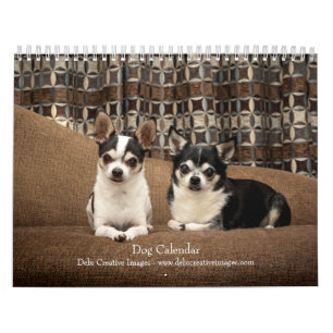 Hund 2025 kalender