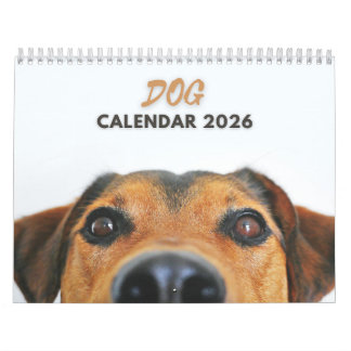 Hund 2026 kalender