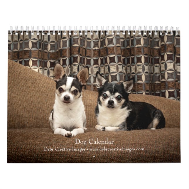 Hund 2026 kalender (Omslag)