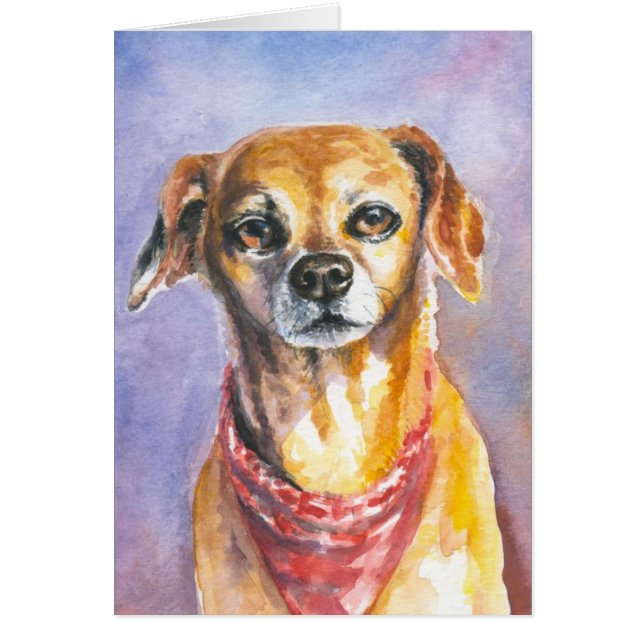 Hund 2 hälsningskort (Framsidan)