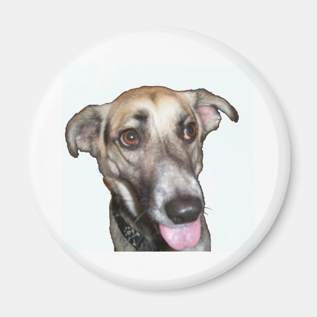 Hund 2, Magnet (Framsidan)