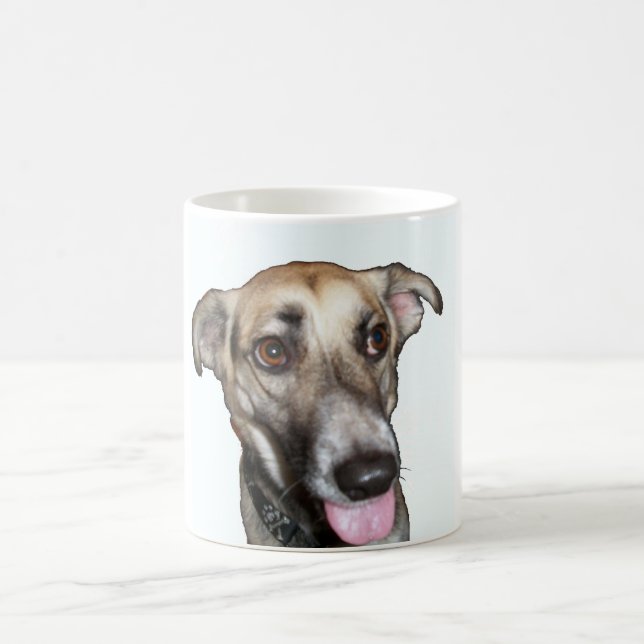 Hund 2, Mugg (Center)