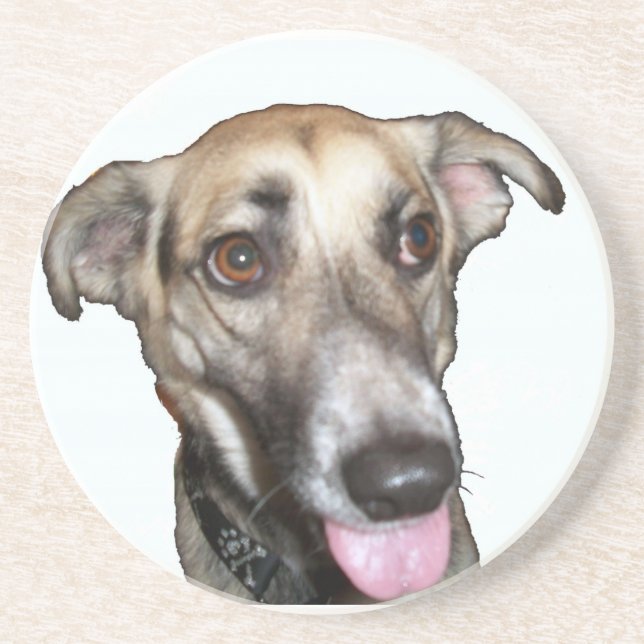 HUND 2 UNDERLÄGG (Framsidan)