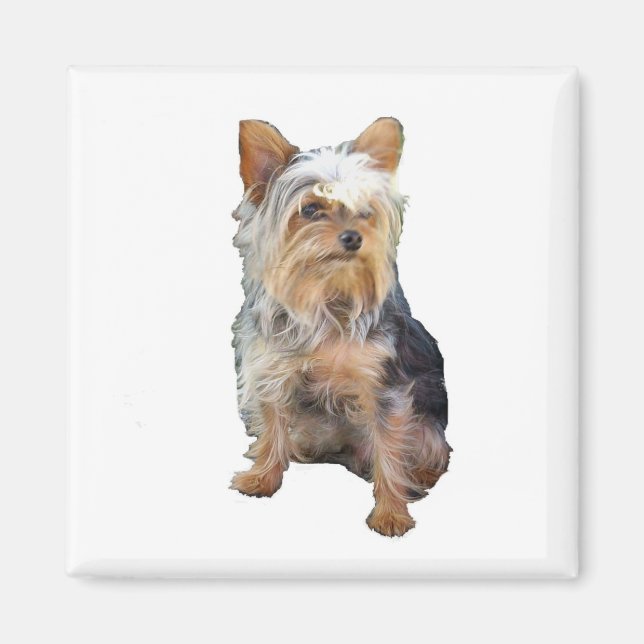 Hund 4 A Magnet (Framsidan)