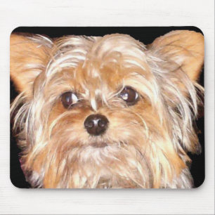 Hund 4, musknapp musmatta
