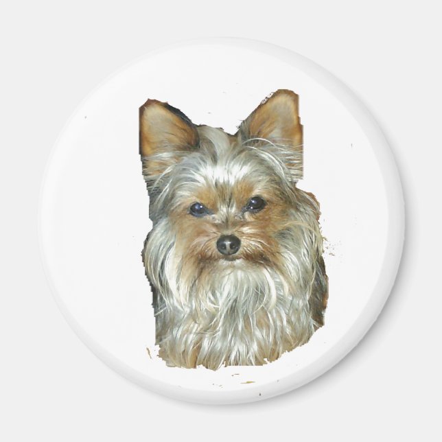 Hund 4B,Yorkshire Terrier,Magnet Magnet (Framsidan)