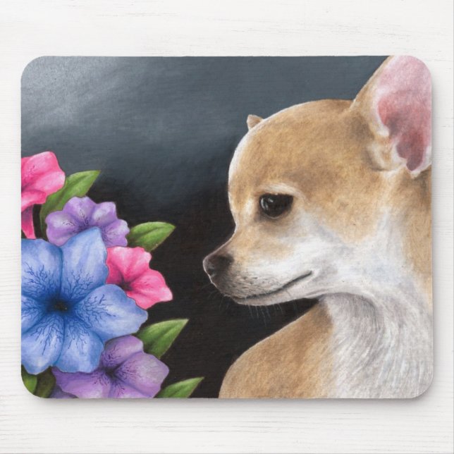 Hund 77 Chihuahua Musmatta (Framsidan)