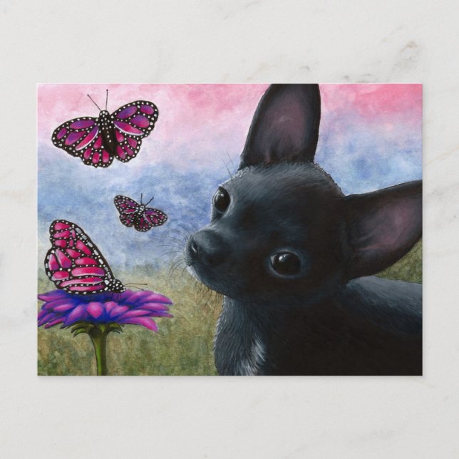 Hund 91 Chihuahua Vykort (Framsida)