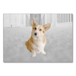 Hund ABA Tact-etikett - Mashcard | Bild-kort Bordsnummer
