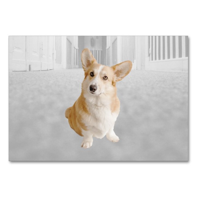 Hund ABA Tact-etikett - Mashcard | Bild-kort Bordsnummer (Framsidan)