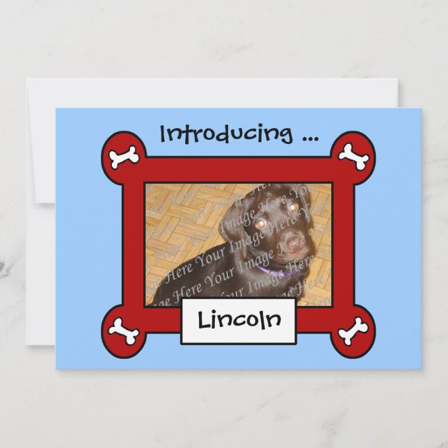 Hund Adoption eller Tillkännagivande för födelse ( Meddelande (Framsida)