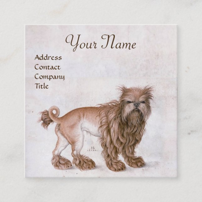 HUND/Affenpinscher/Veterinary,Veterinär Fyrkantigt Visitkort (Framsida)