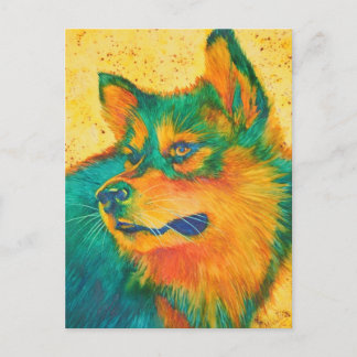 Hund älskare Alaska Malamute Colorful Postcards Vykort