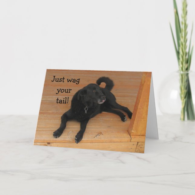 Hund älskare Belad Birthday Kort (Framsida)