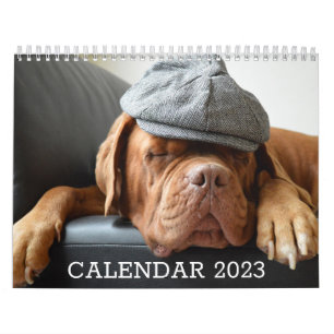 Hund älskare Calendar Kalender