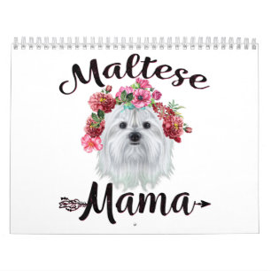 Hund älskare  Cute Maltese Mamma Hund Flowers Blo Kalender