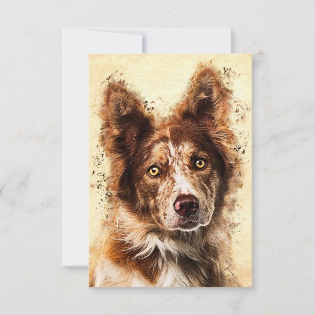 Hund älskare Gräns Collie Art OSA Kort (Framsida)
