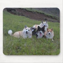 Hund älskare mousepad, skräddarsy