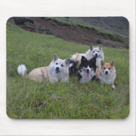 Hund älskare mousepad, skräddarsy musmatta
