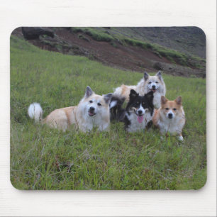 Hund älskare mousepad, skräddarsy musmatta