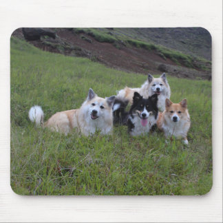 Hund älskare mousepad, skräddarsy musmatta