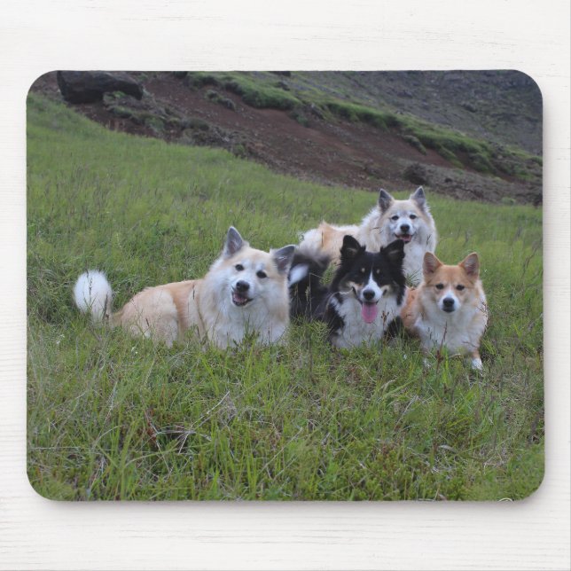 Hund älskare mousepad, skräddarsy musmatta (Framsidan)