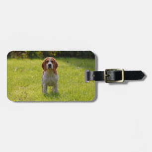 Hund älskare Photo Pet Keepsaké Bagagebricka
