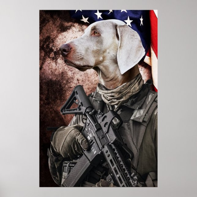 Hund American Flagga Poster (Framsidan)