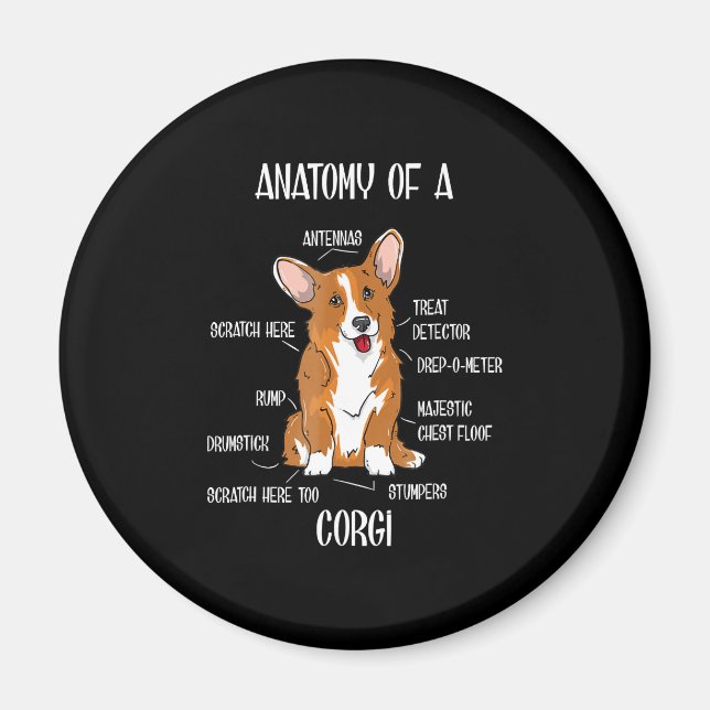 Hund Anatomy , Cute Welsh Corgi Puppy Biology Gift Magnet (Framsidan)