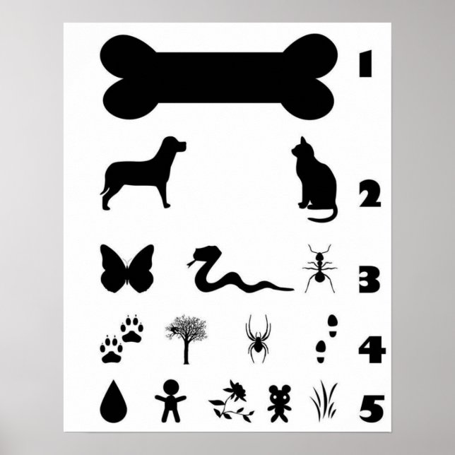 Hund Animal Öga Chart Poster (Framsidan)