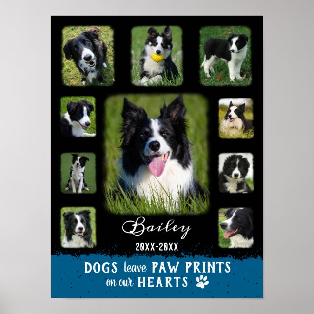 Hund Anpassningsbar Photo Collage Faded Gräns Blac Poster (Framsidan)
