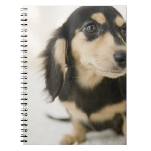Hund Anteckningsbok