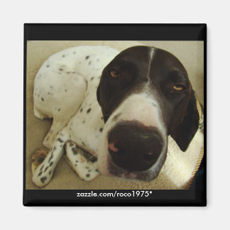 Hund år magnet